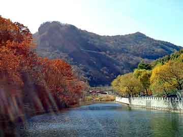 李子苗，都市之龙傲天下